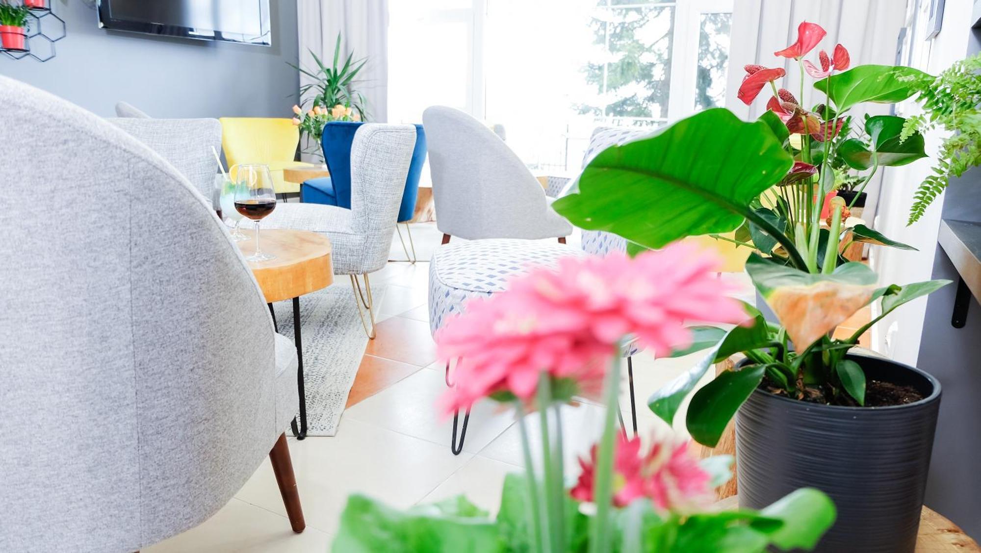 Hotel Rezydencja As & Spa-Najwyzej W Karpaczu